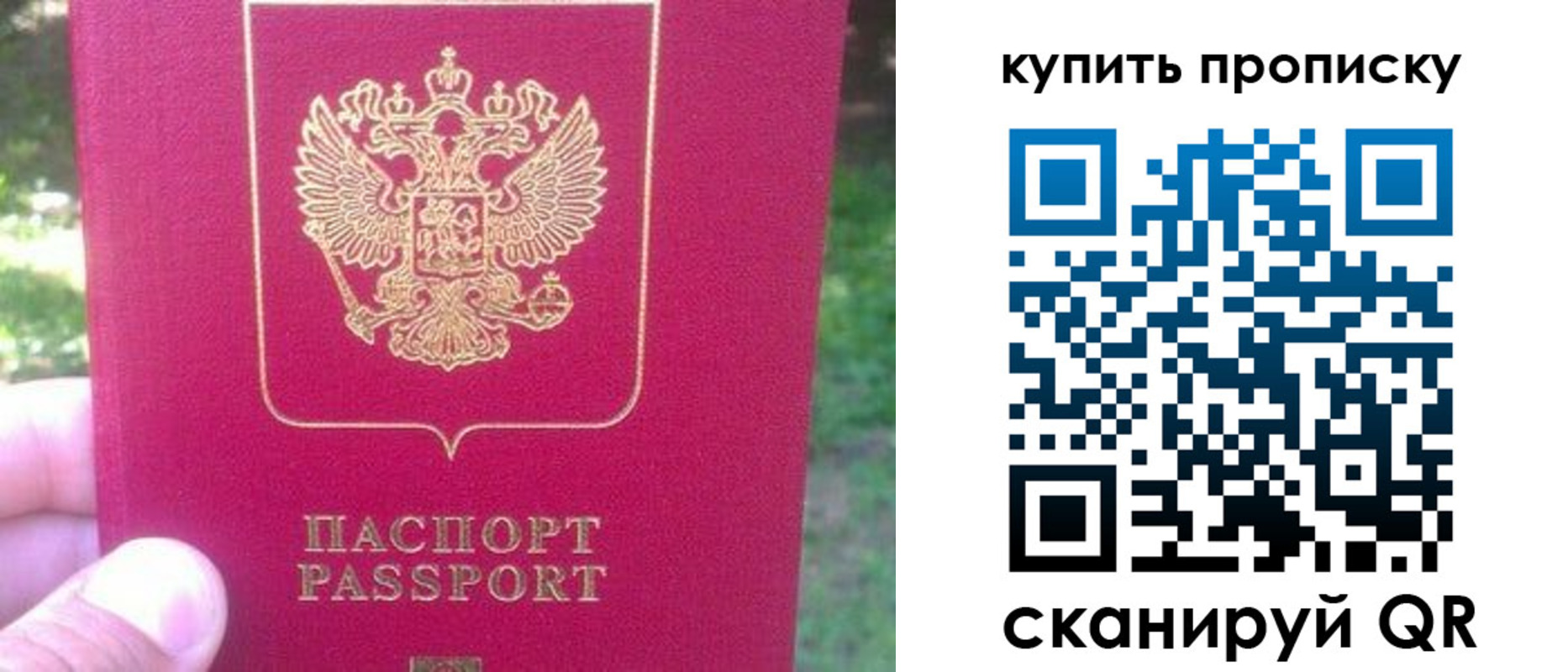 временная регистрация для школы в Дрезне